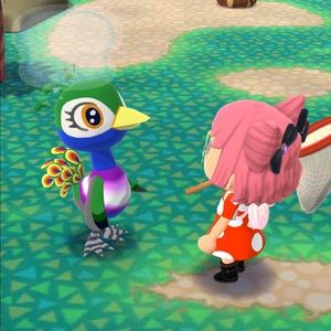 Meet your Posher, Holly